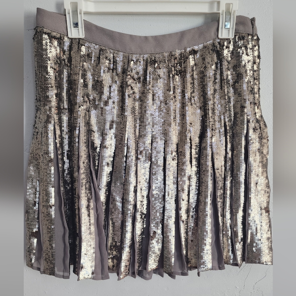 Banana Republic Silver Sequin Pleated A-Line Skirt - Picture 3 of 4